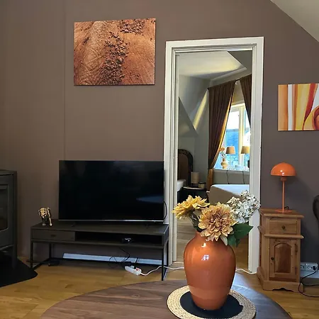 Apartment Historical House With View And Separate Entrance Alesund