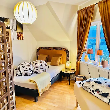 Historical House With View And Separate Entrance Apartment *