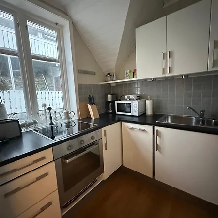 Historical House With View And Shared Patio Appartement Ålesund