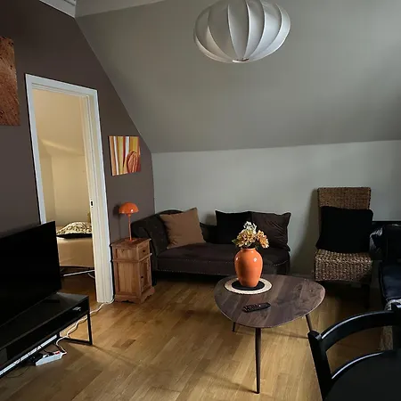 Historical House With View And Separate Entrance Apartment *